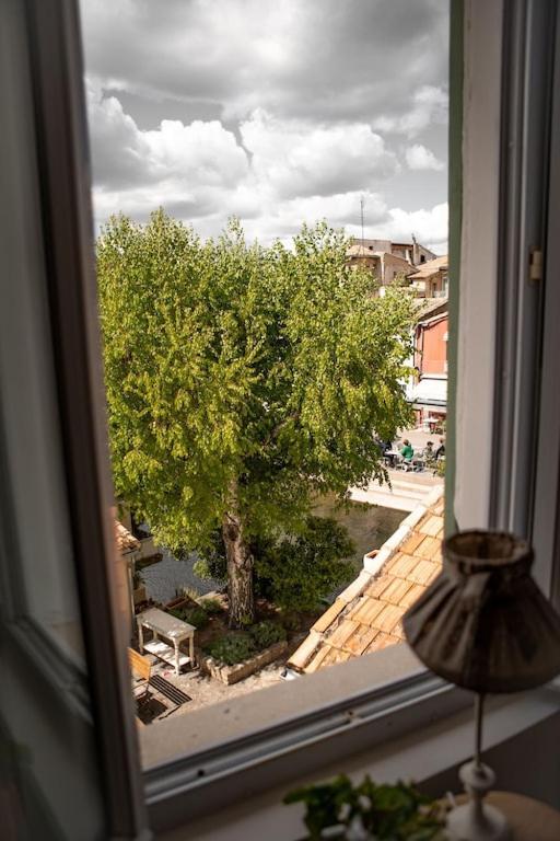 La Maison Du Bassin LʼIsle-sur-la-Sorgue Εξωτερικό φωτογραφία